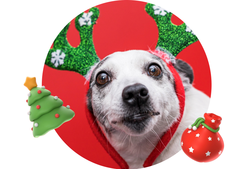 Дед Мороз раздал скидок